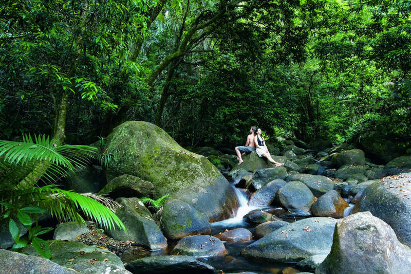 daintree-national-rainforest